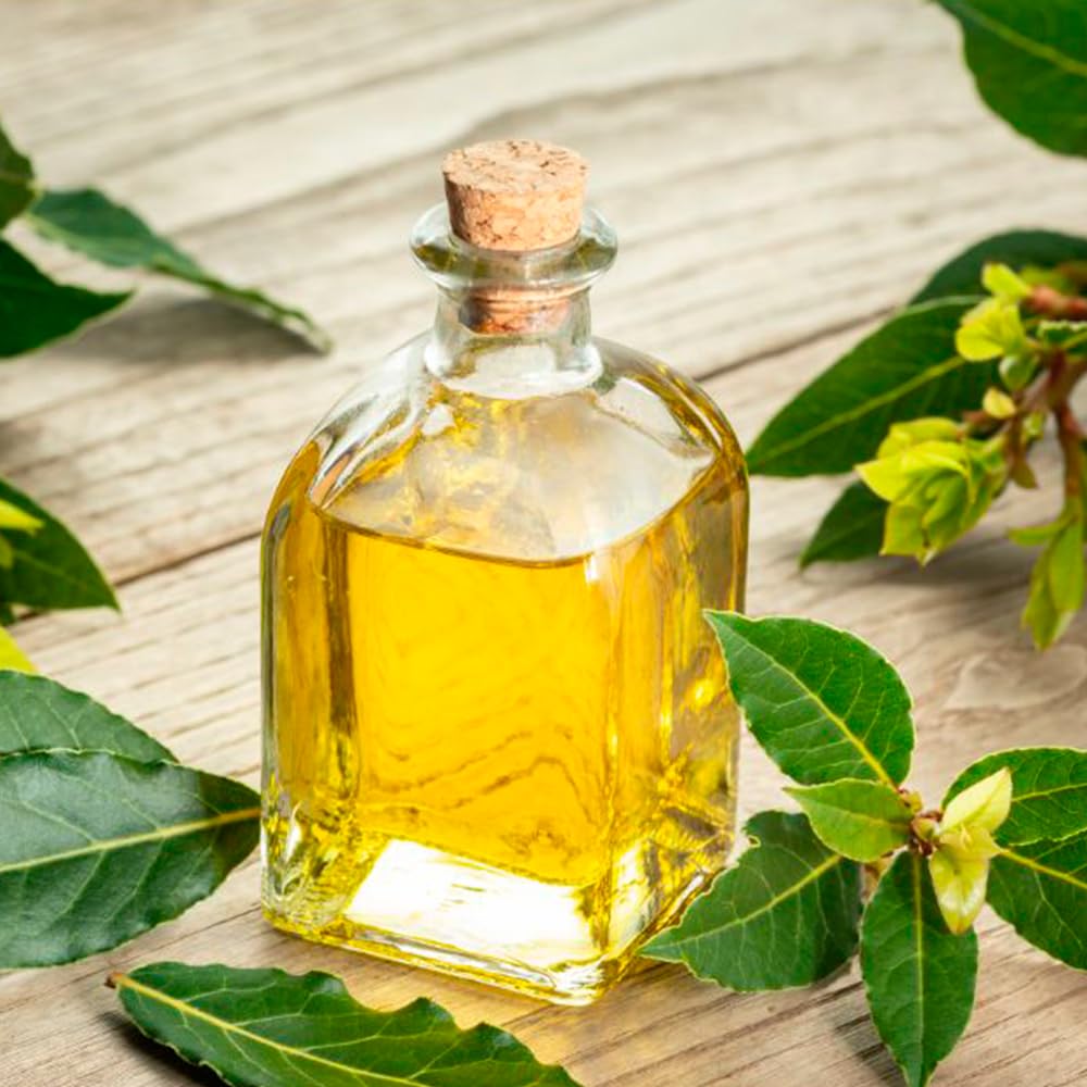 Jabón Natural De Laurel (90g) - Para Piel Grasa, Con Acné - Regula El Exceso De Grasa - Alivia Irritaciones Y Picores_1