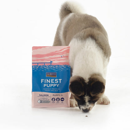 Fish4dogs Pienso Para Cachorro Sin Cereales – Salmón Y Boniato 1,5 Kg_5