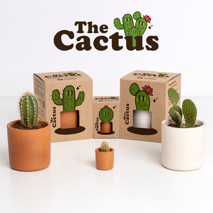 Mr. Cactus Kit de Cultivo de Cactus con Maceta de Barro Artesanal | Regalo Original - Resetea_3