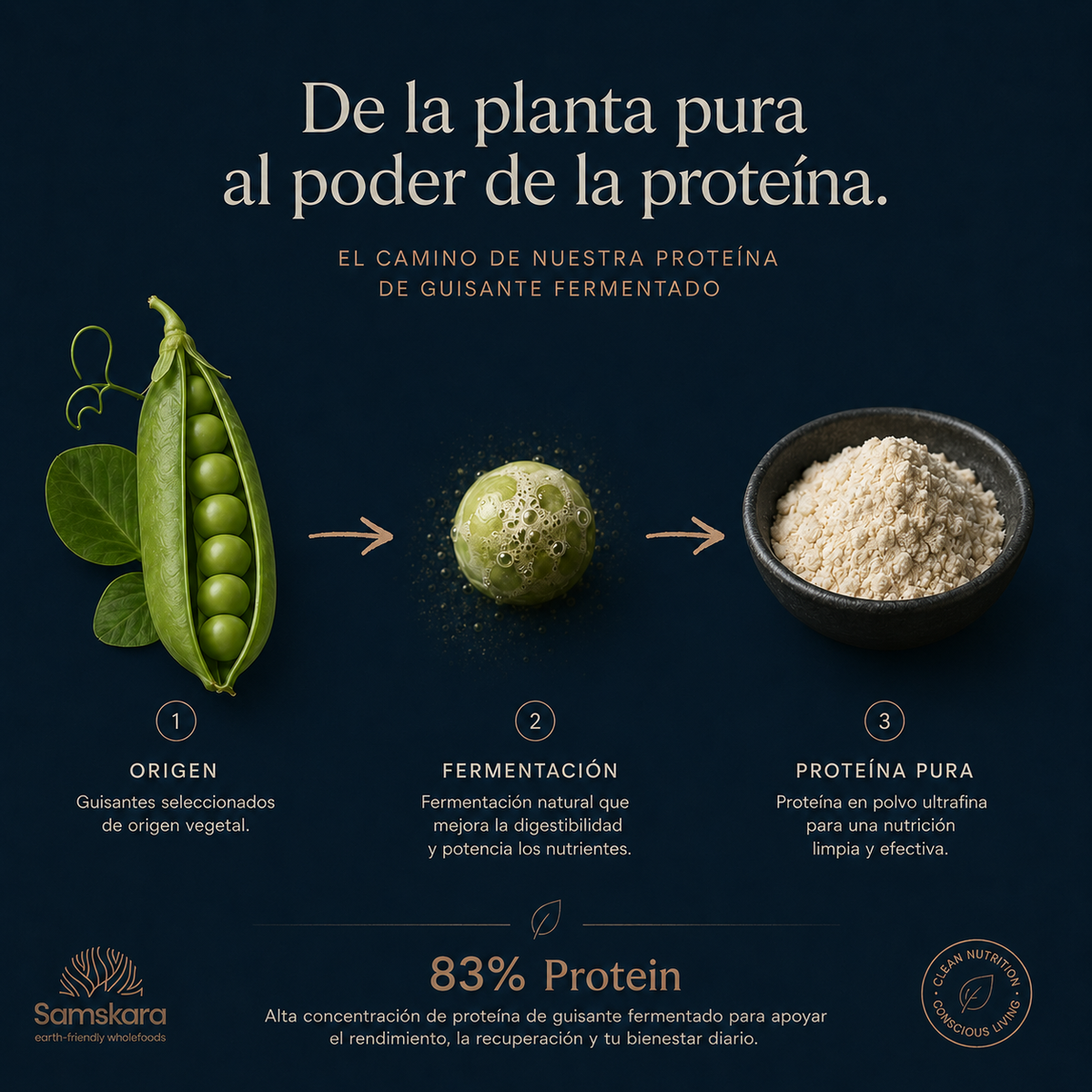 Proteína De Guisante Fermentada Bio - 1kg | Proteína Vegetal Ecológica Vegana Para Batidos Y Repostería_4