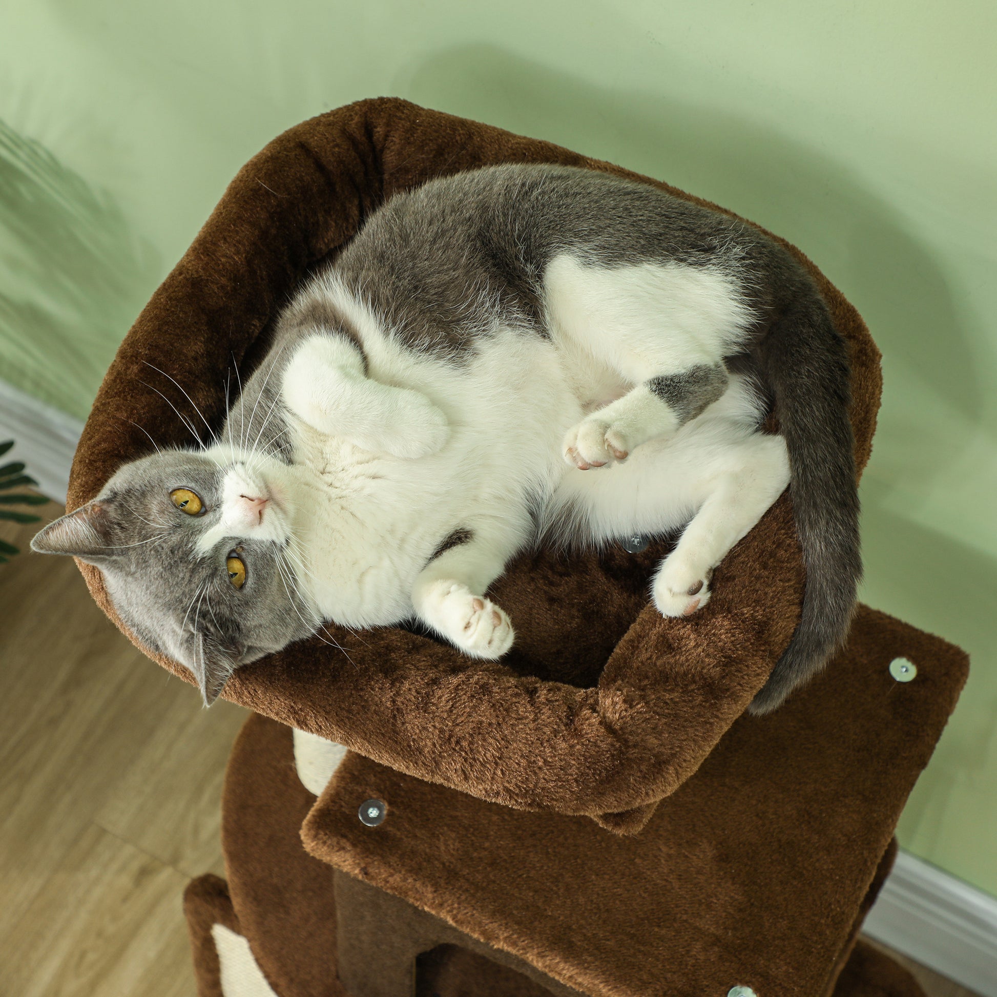 Pawhut Árbol Rascador Para Gatos Altura 104cm Con Almohadilla Para Rascar Marrón_3