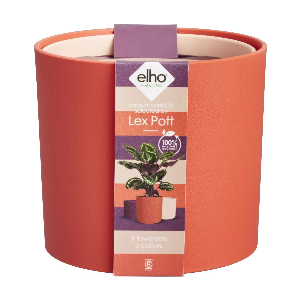Lex Pott pack rojo, rosa, violeta Elho 14cm 100% reciclado
