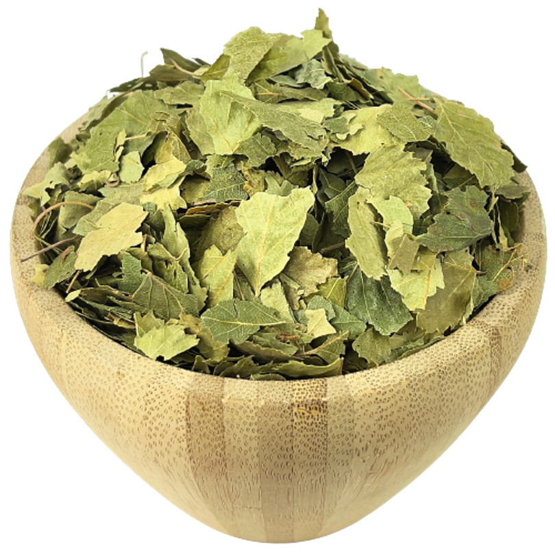 Hojas De Abedul Bio Granel 1 Kg_0