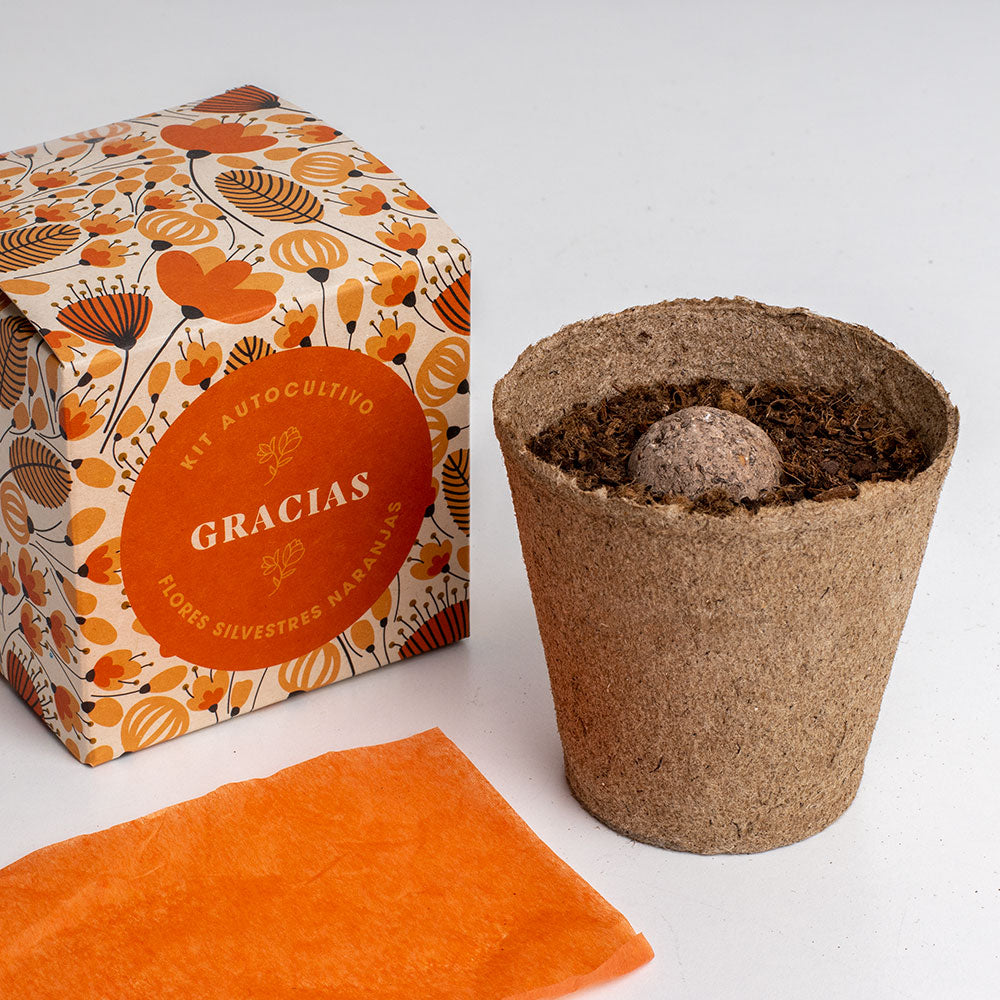 Díselo con Flores "Gracias" Kit Autocultivo Flores Silvestres Naranjas | Regalo Original - Resetea_2