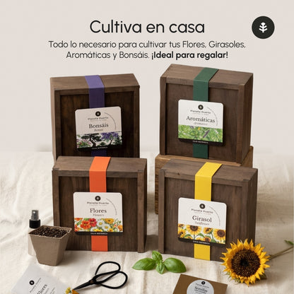 Kit de Cultivo de Aromáticas en Caja de Madera – Regalo Original Planeta Huerto