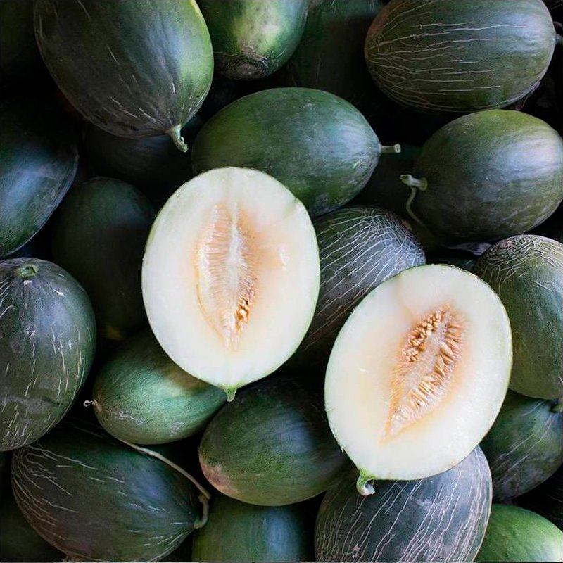 Semillas Melón Manuel António Ecológicas_0
