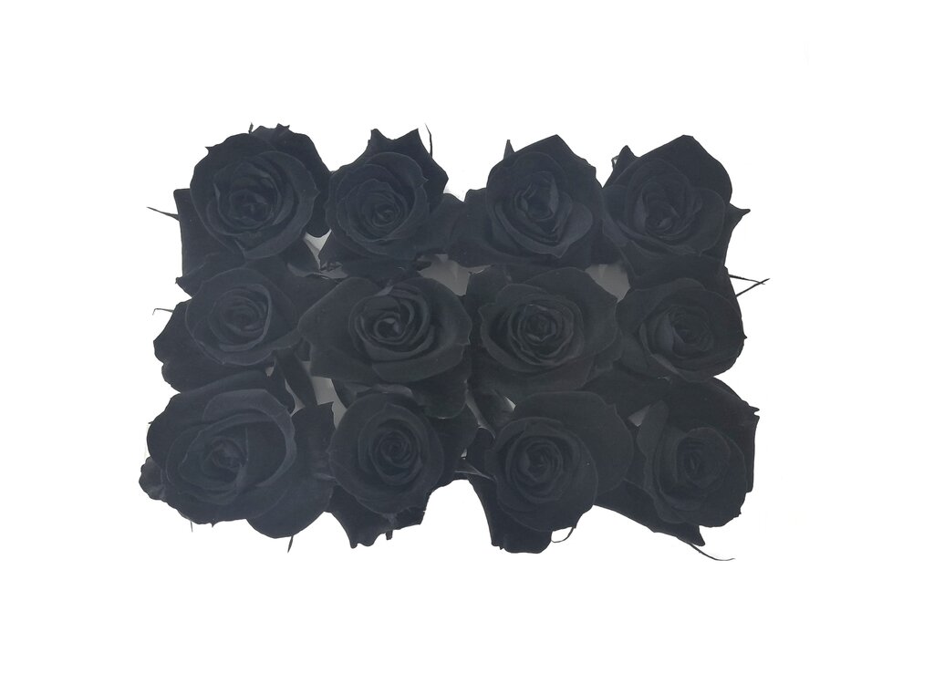 Mundo Eterno Rosas Negras Preservadas 12 Unidades 3-4cm_0