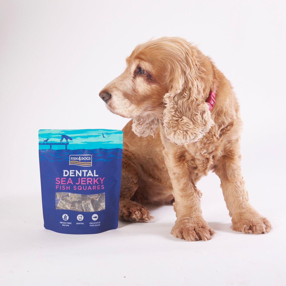 Fish4dogs Snack Dental Natural – Sea Jerky Fish Squares 4x575g_5