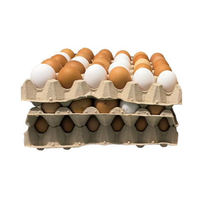 Huevos Ecológicos de Pollita Extrafrescos De Pastoreo Regenerativo 90 unidades_0