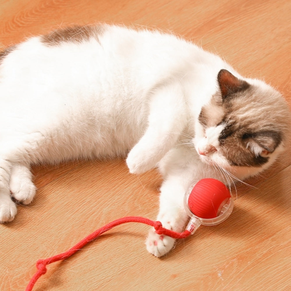 Intimeg - Juguete Para Gatos Pelota Automática Para Gatos_1
