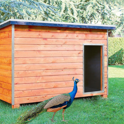 Gallinero Para Pavos Y Otras Grandes Aves - Caseta Para Animales - Refugio Para Cabras Y Ovejas_2