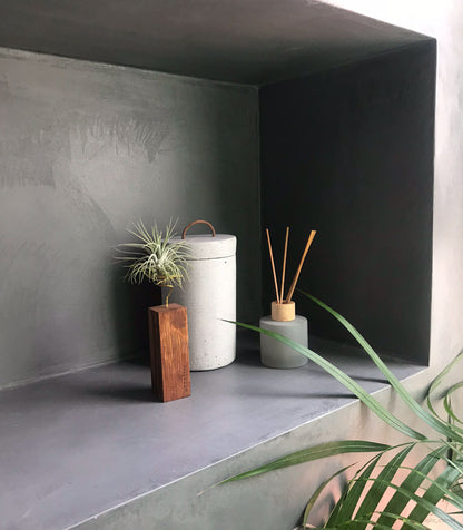 Planta De Aire Tillandsia Scaposa Con Listón De Madera 10cm_1