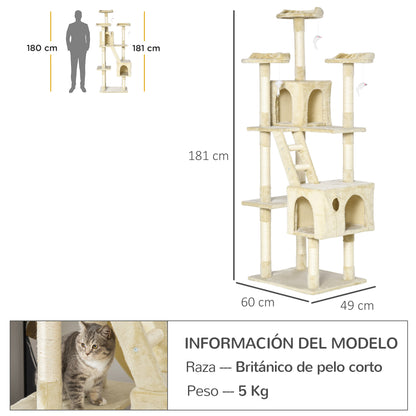 Pawhut Rascador Árbol Para Gatos Grande 60x50x181cm Con Poste Escaleras Cuevas_2