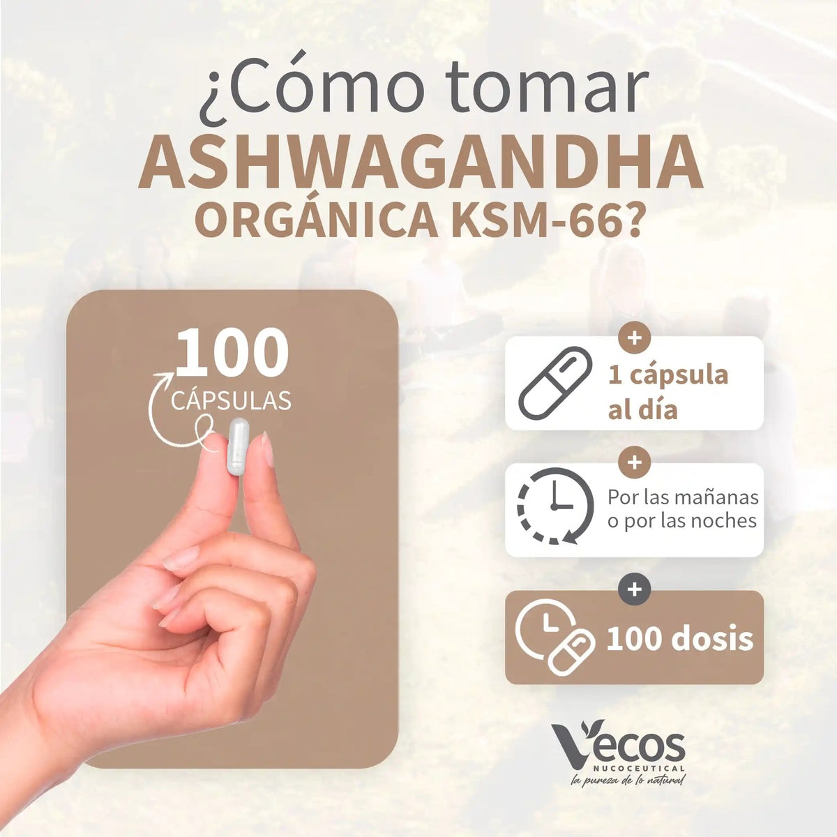 Ashwagandha KSM 66 eco Vecos 100 capsulas