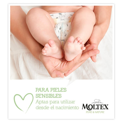 Toallitas Moltex Pure &amp; Nature 60 Uds