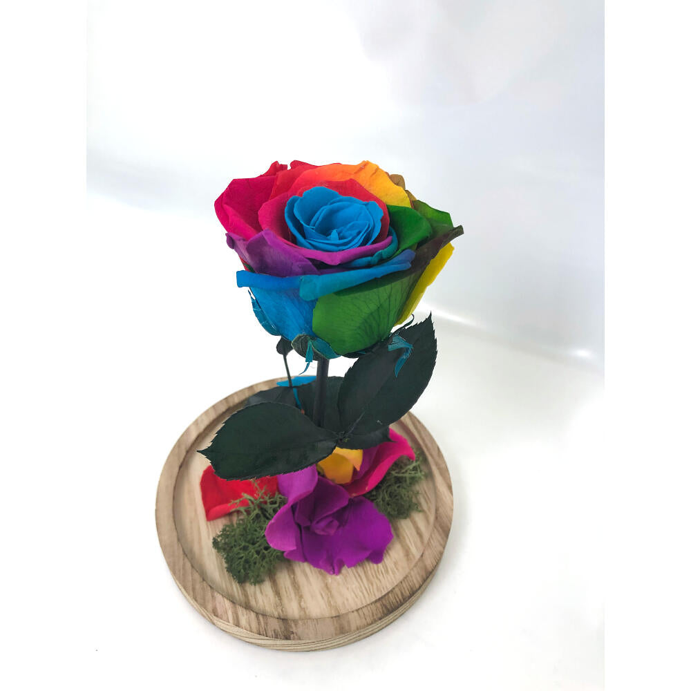 Mundo Eterno Rosa En Cúpula Multicolor 12x20cm_1