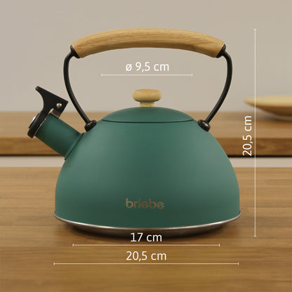 Briebe Tetera Con Silbato, Hervidor De Agua 2,3l, Inducción, Acero Inox, Vintage, Mango Madera, Nordic, Verde_5