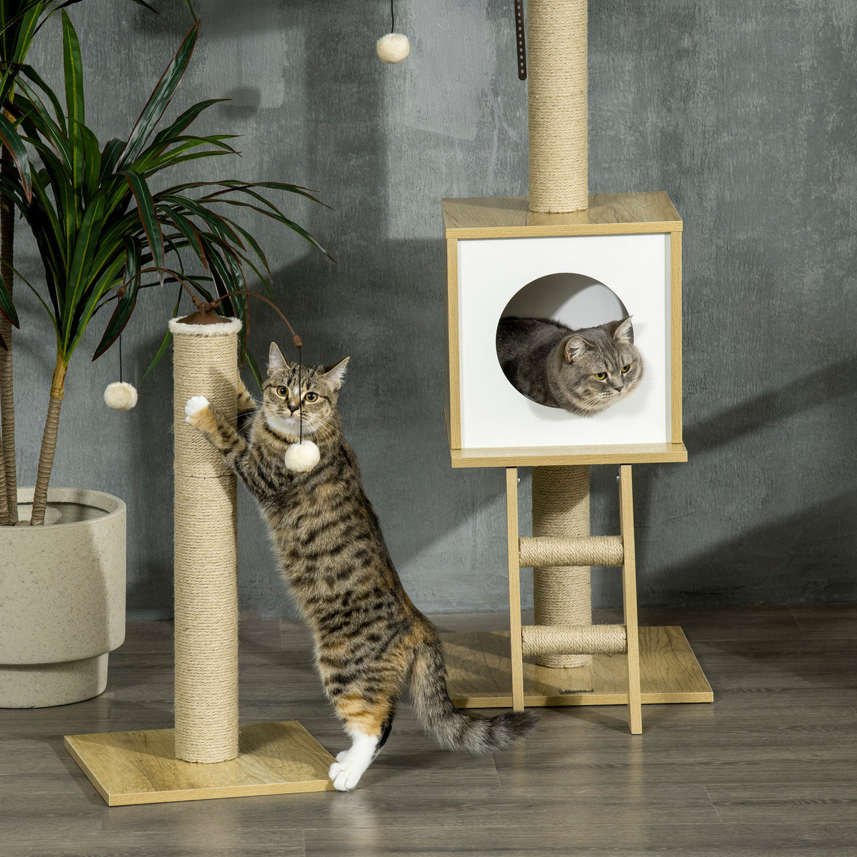 Pawhut Árbol Para Gatos Del Suelo Al Techo 220-260cm Con Altura Ajustable Caseta_3
