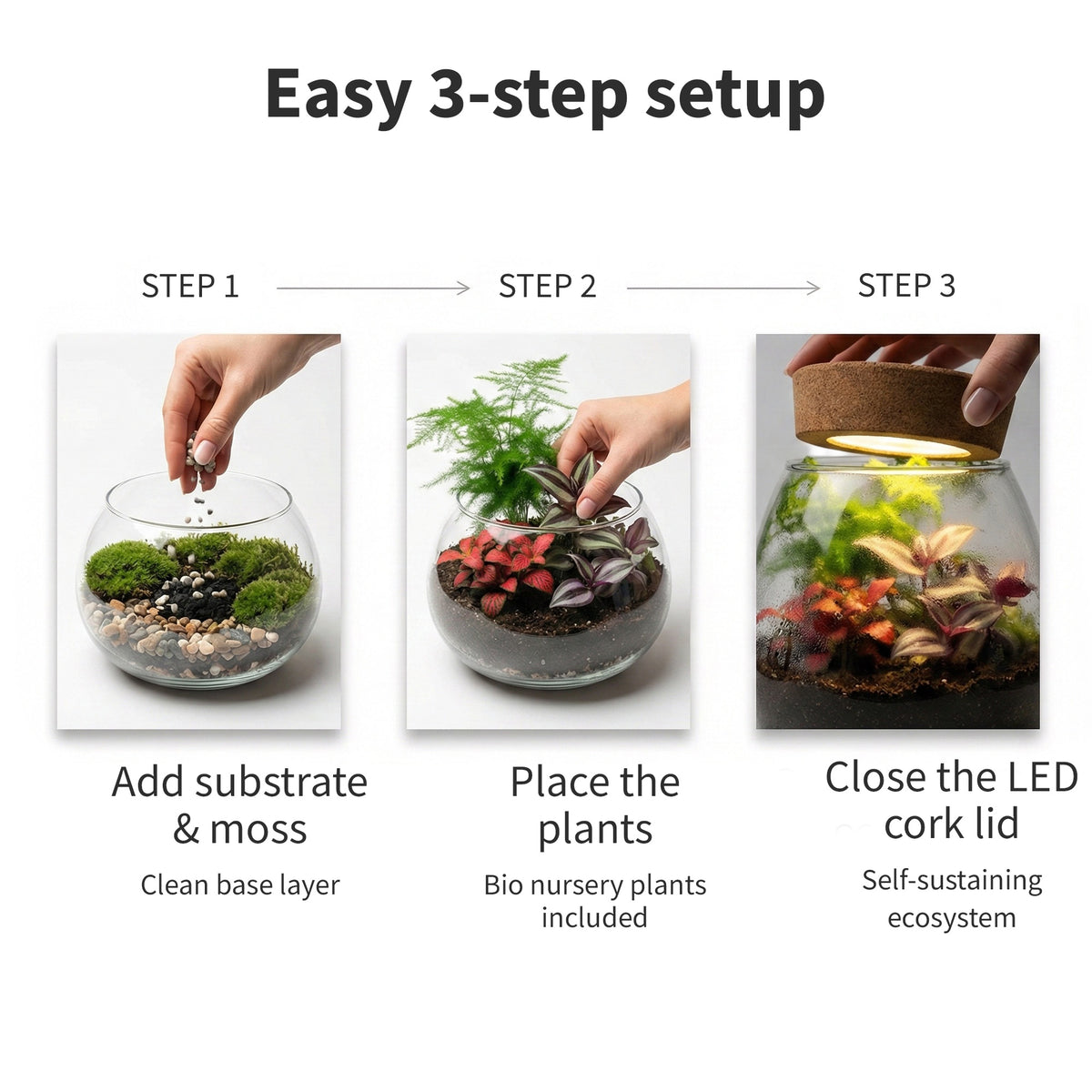 Mini Terrario De Plantas Ø11 Cm - Con Luz Led - Ecosistema Cerrado En Cristal_5