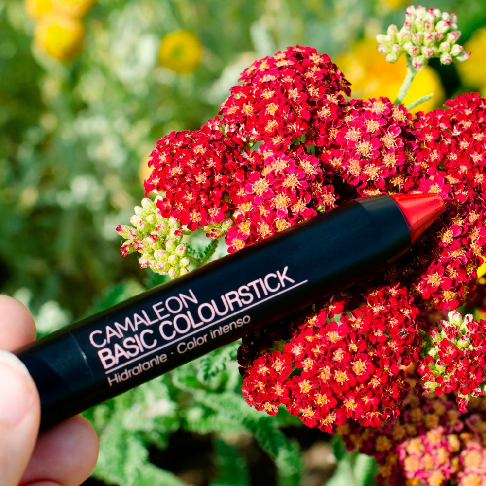 Pintalabios Rojo Basic Colourstick 4g Camaleon Cosmetics_3
