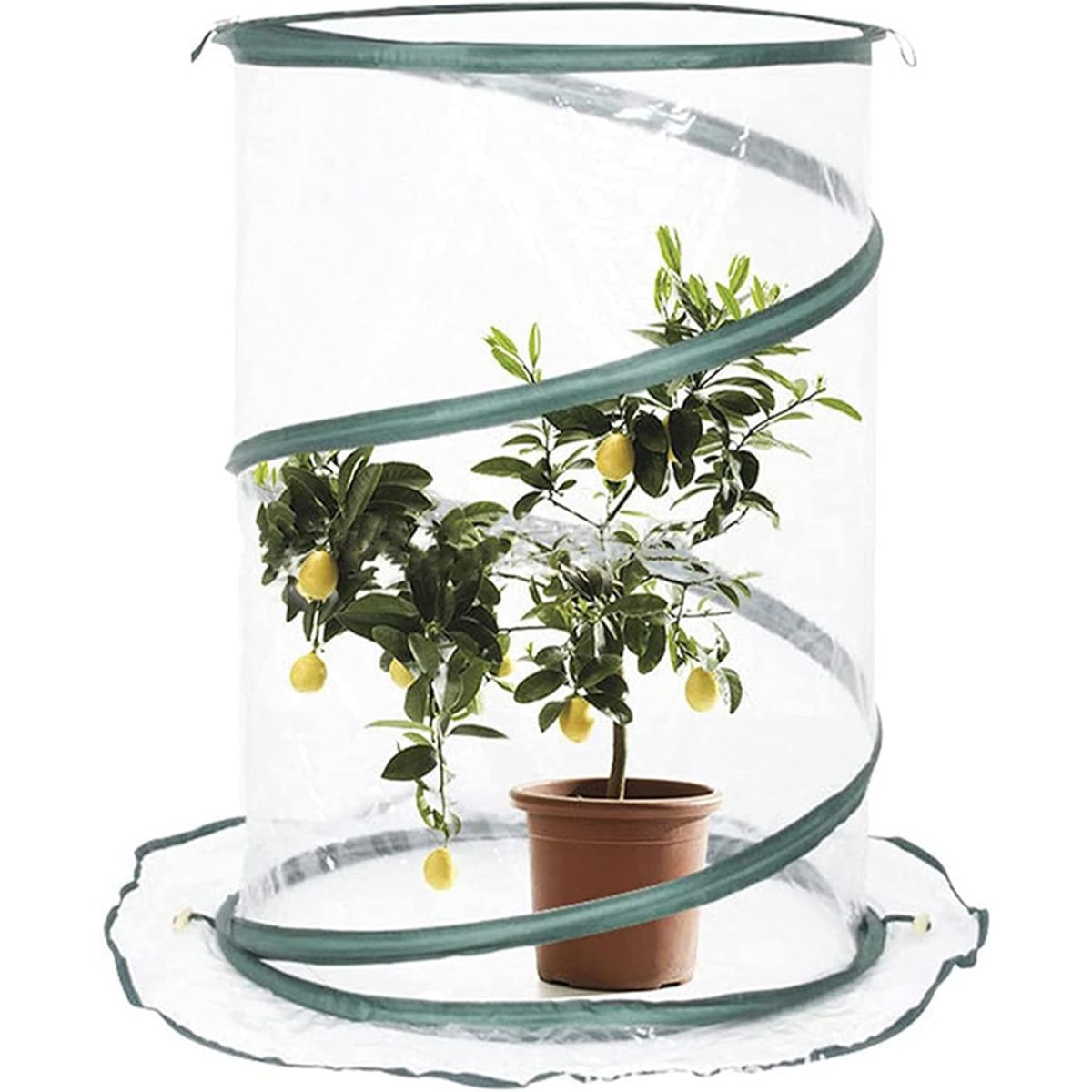 Invernadero plegable pop-up Verdemax ø 90 x 150 cm