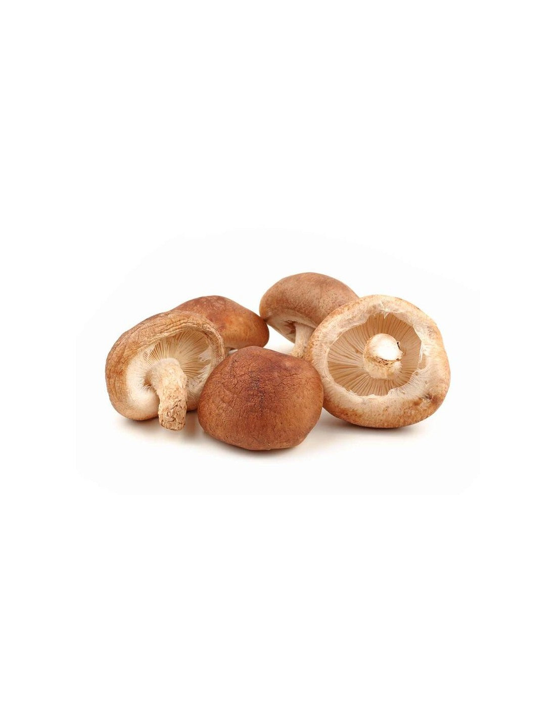 Setas Shiitake Bio - 500g_0