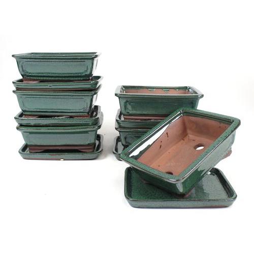 Tiesto bonsáis rectangular 20 cm con plato verde