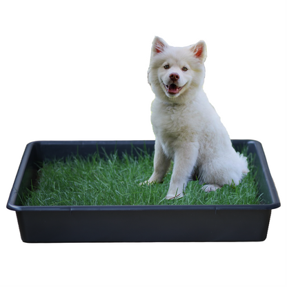 Petground, Cama Para Perros, Empapador, Alfombra Olfativa, Césped Natural, Xxl_0