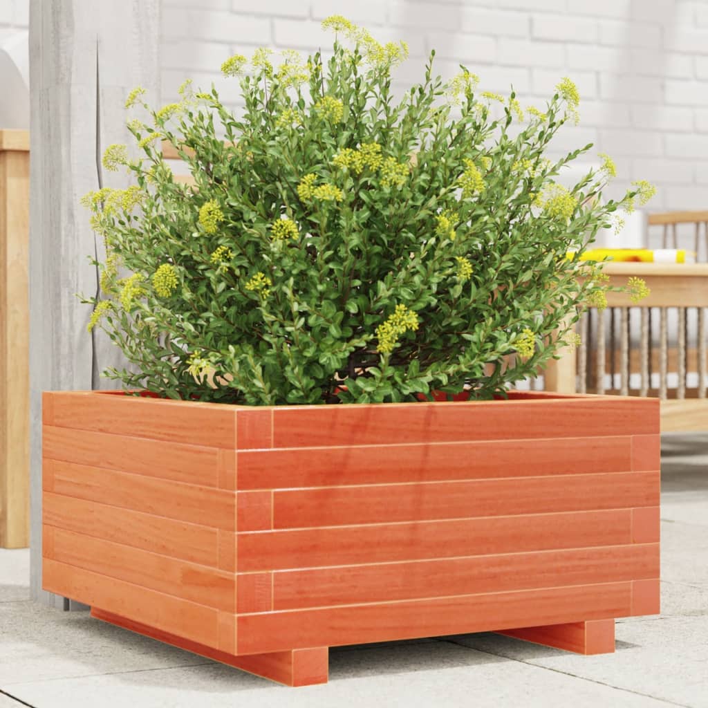 Jardinera Madera Maciza De Pino Marrón Cera 50x50x26,5 Cm_1