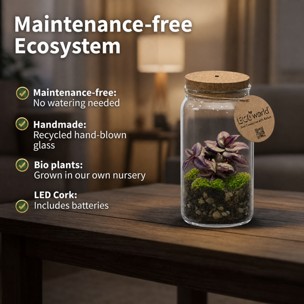 Mini Terrario De Plantas Ø11 Cm - Con Luz Led - Ecosistema Cerrado En Cristal_3