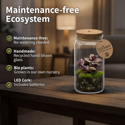 Mini Terrario De Plantas Ø11 Cm - Con Luz Led - Ecosistema Cerrado En Cristal_3