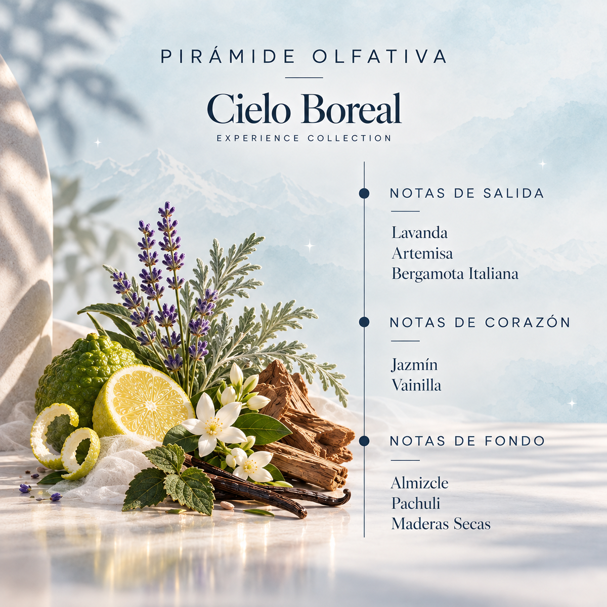 Ambientador Mikado Cielo Boreal Experience SYS Aromas 100 ml | Aroma Amaderado y Dulce | Sofisticado_1