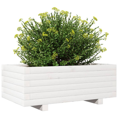 Jardinera De Madera Maciza De Pino Blanco 70x40x26,5 Cm_3