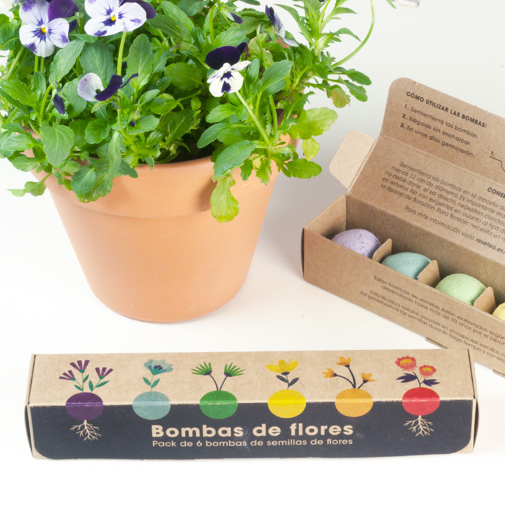Pack 6 Bombas de Semillas de Flores Silvestres – Kit Jardín Fácil, Regalo Original - Resetea_1