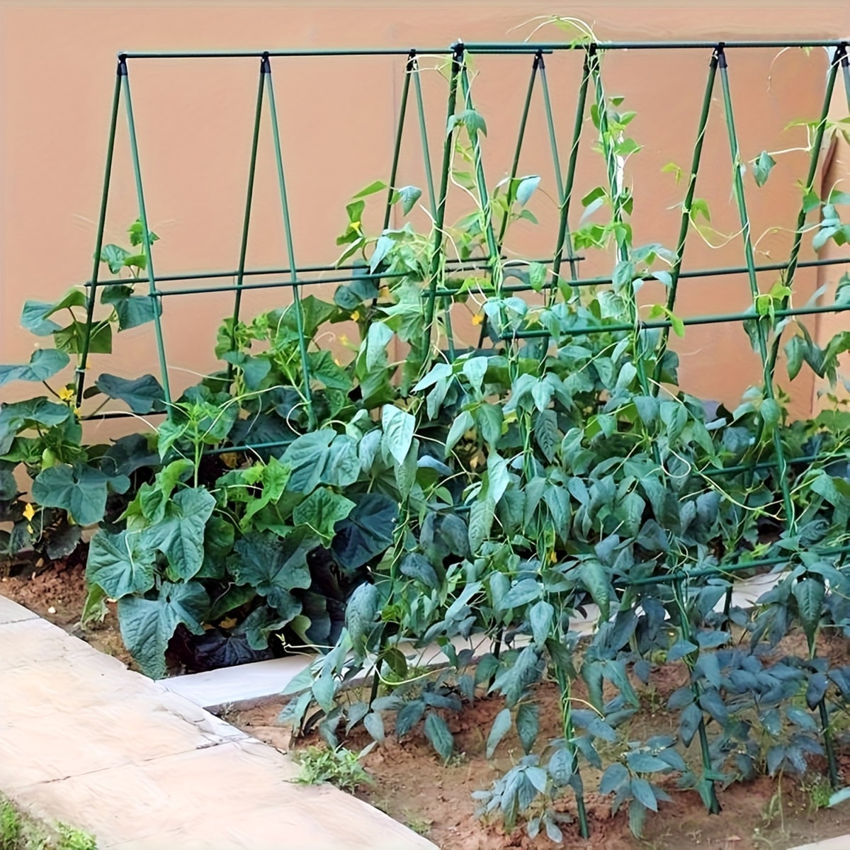 Soporte Enrejado Trepadoras 180x180 Cm Nyana Garden | Estructura En A | Huerto Y Jardín_4