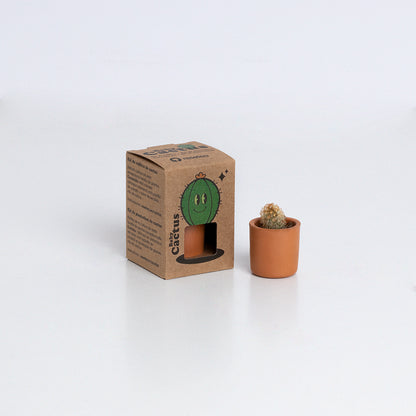 Baby Cactus Kit de Cultivo de Cactus con Maceta de Barro Artesanal | Regalo Original - Resetea_2