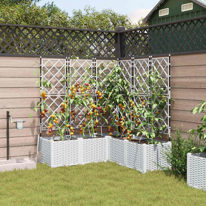 Macetero De Jardín 5 Uds. Blanco 120 X 120 X 142 Cm Pp_1