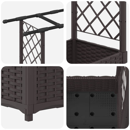 Cama Elevada Con Trellis Y Techo Marrón 164 X 40 X 121 Cm Pp_5