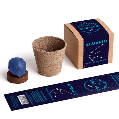 Cultivos del Zodiaco – Acuario, Kit de Cultivo con Semillas de Guindilla - Resetea_1