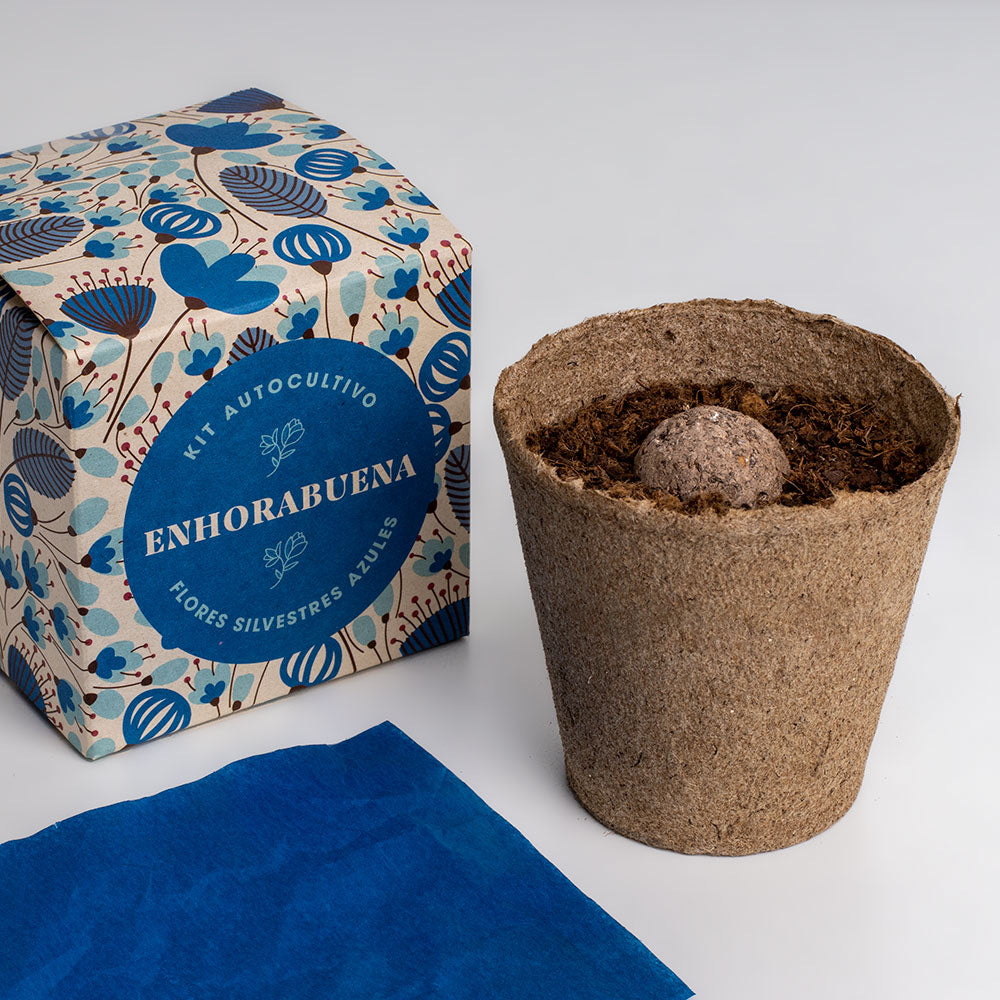 Díselo con Flores "Enhorabuena" Kit Cultivo Flores Silvestres Azules | Regalo Original - Resetea_2