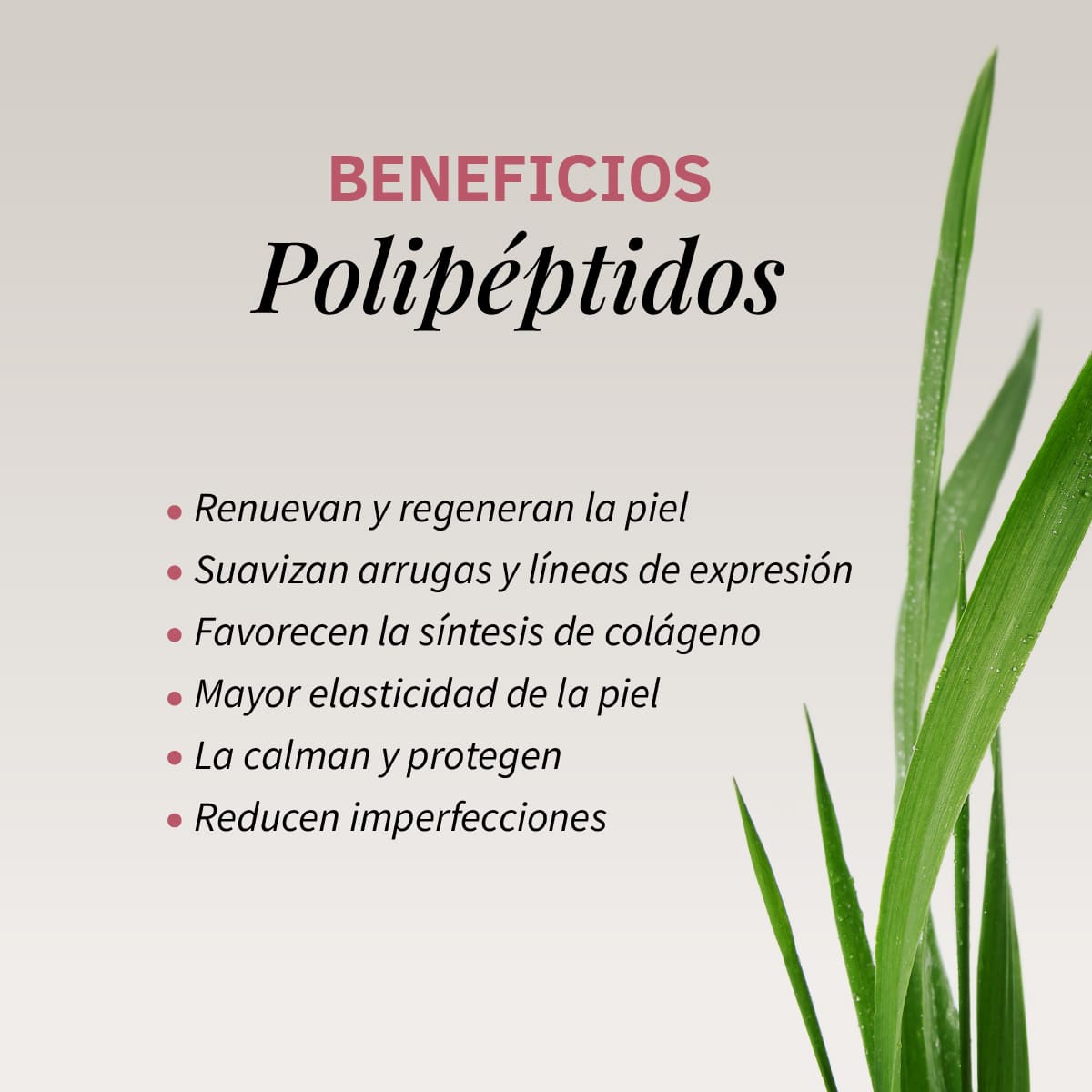 Sérum Facial Tensor Effect Labnatur 30 ml | Efecto Lifting | Firmeza, Elasticidad y Luminosidad | Vegano_2