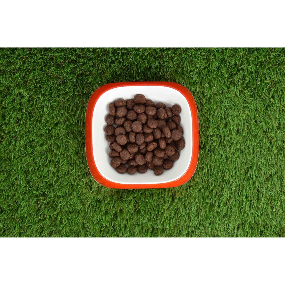 Pienso Natural Grain Free Superpremium Salmón 12 kg Planeta Huerto
