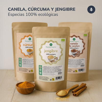 Jengibre en polvo ECO Planeta Huerto 500 g