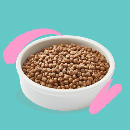 Pienso para gatos Kitten Pato y Pollo frescos Edgard &amp; Cooper 2 Kg