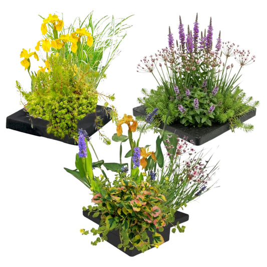 Set Isla De Plantas Estanque 3 Piezas - Sistema Completo 12 Plantas_0