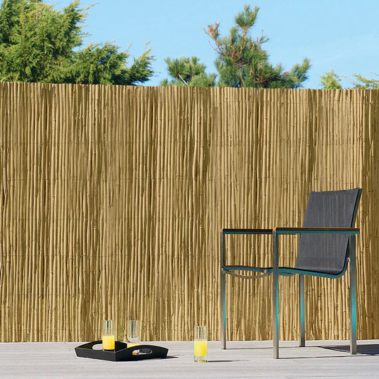 Cañizo De Bambú Pelado - 1,5x5 M_0
