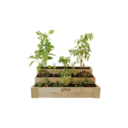 Cajón De Cultivo Madera Tratada Exterior Hortalia Box Stairs 120 120x80x40 Cm_3
