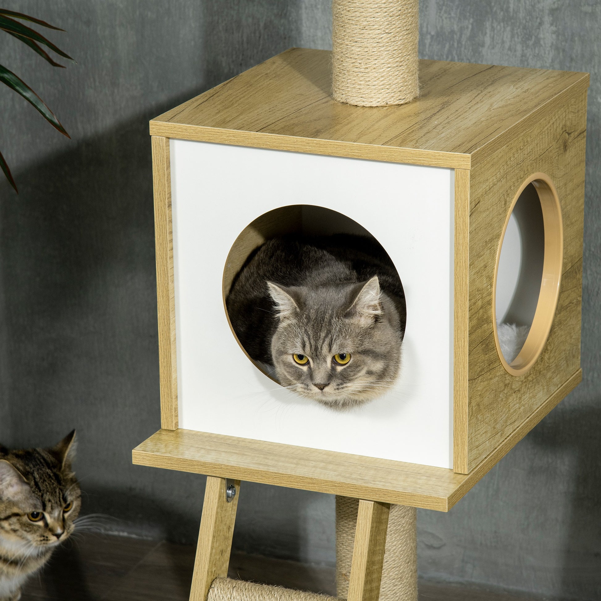 Pawhut Árbol Para Gatos Del Suelo Al Techo 220-260cm Con Altura Ajustable Caseta_4