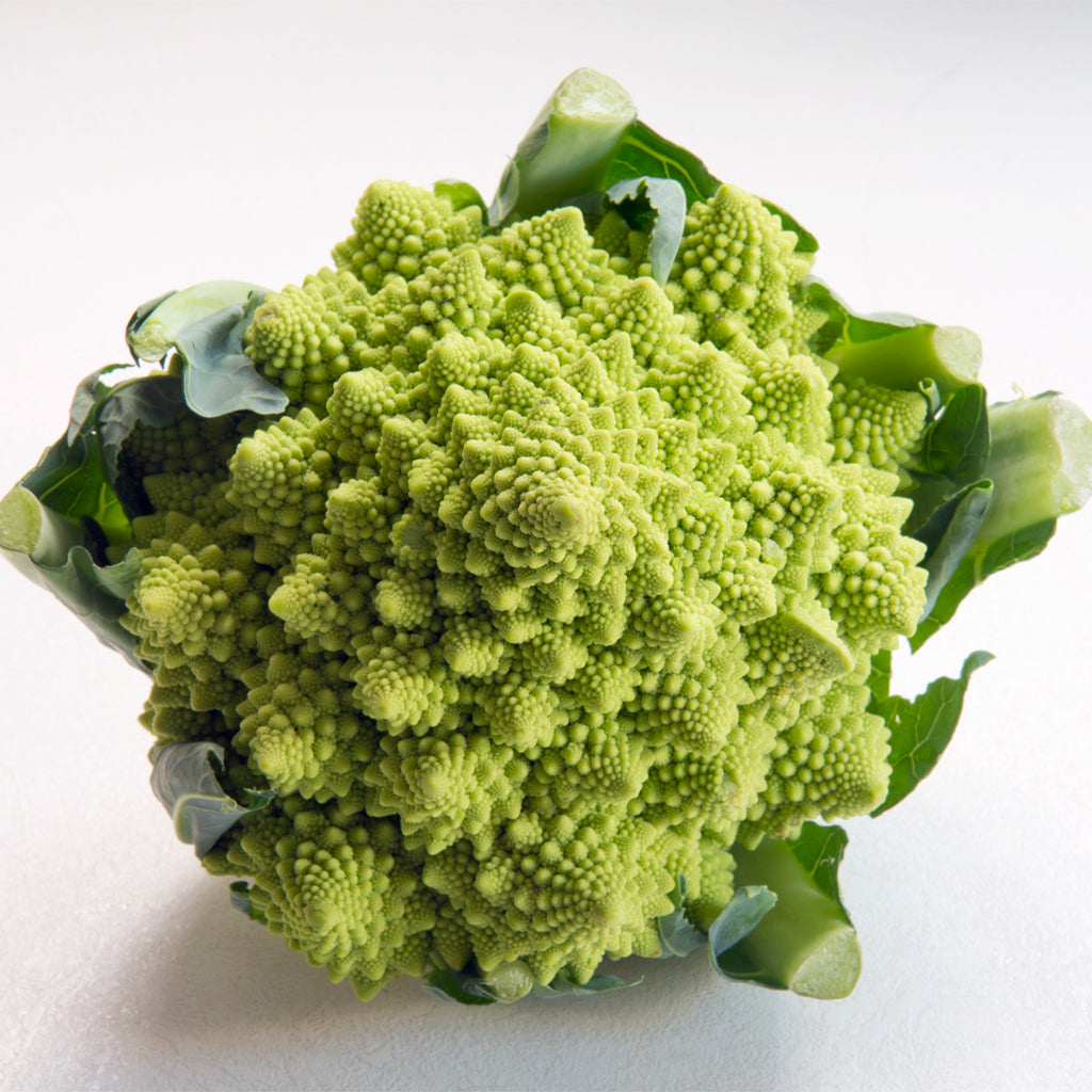 Plantón Coliflor Romanesco - PlantaBo_1