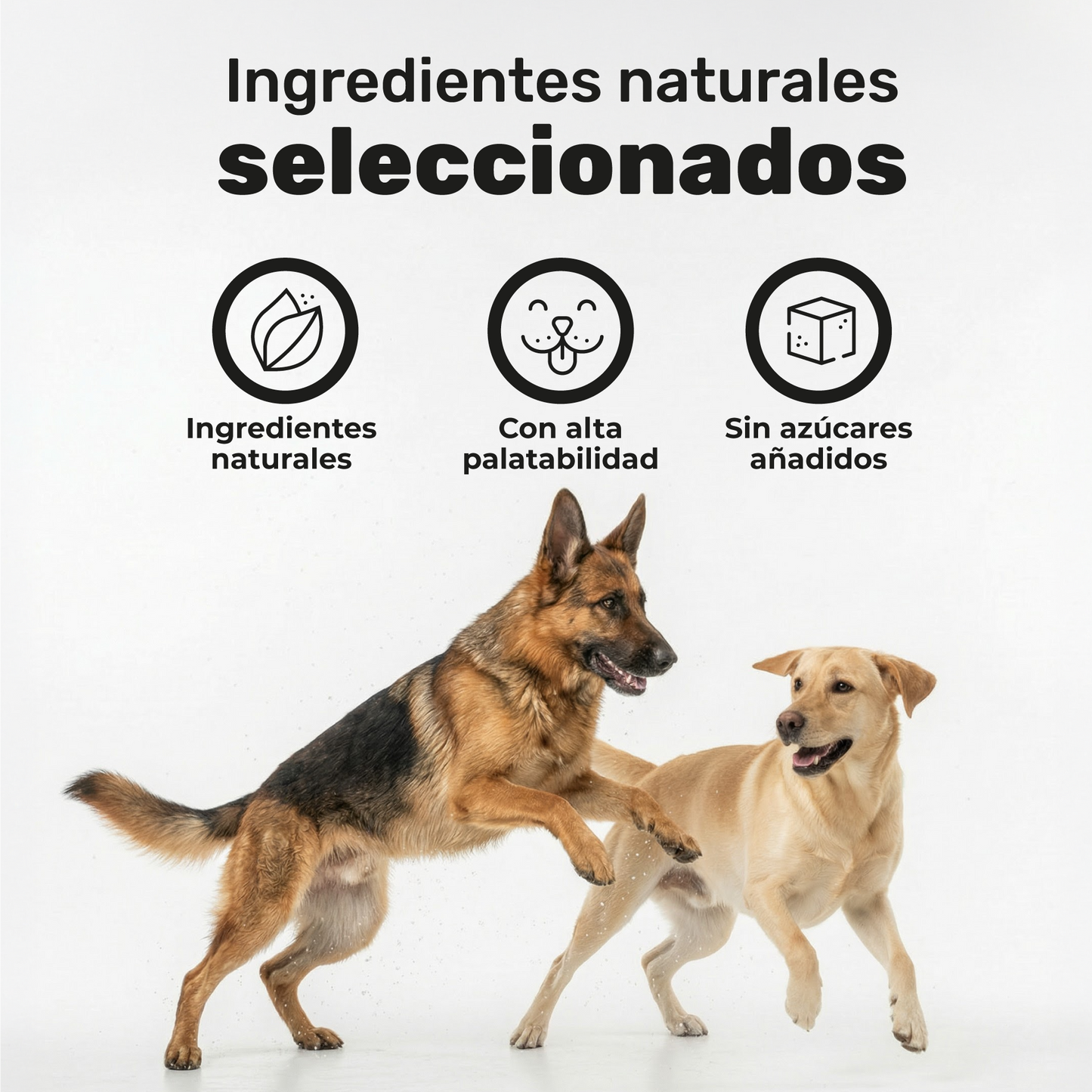 Pack 2x Condroprotector Para Perros. Movilidad Y Articulaciones. Suplementos Mascotas. 240 Masticables. Natuva Pets_5